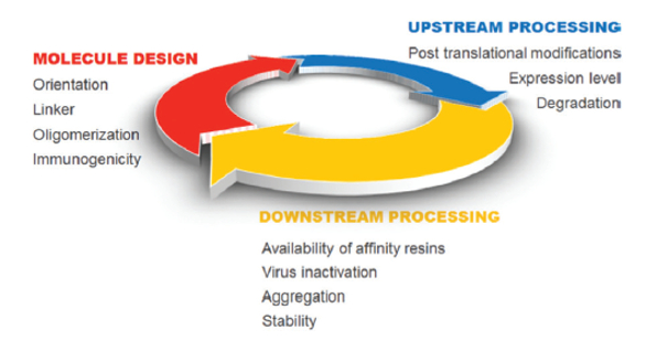 FUSION PROTEIN TECHNOLOGIES FOR BIOPHARM（Production