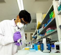  CD122-biased agonist NKTR-214