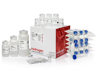 PureLink Fast Low-Endotoxin Plasmid Purification