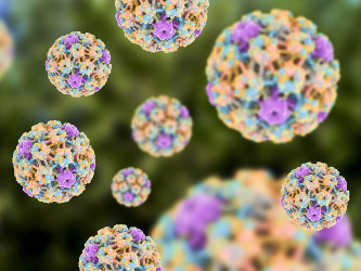 HPV