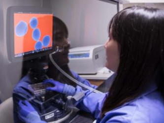 FDA Allows Mayo Clinic to Accelerate Production of Stem Cells for Clinical Trials