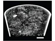 Short Cycle Times for Cost-Efficient Processing in Lyophilized Formulations