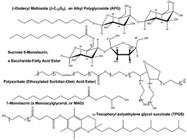 Bioprocessing Methods to Prepare Biobased Surfactants for Pharmaceutical Products