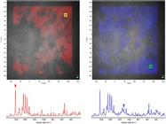 Advanced Approaches to Effective Solid-state Analysis: X-Ray Diffraction, Vibrational Spectroscopy and Solid-state NMR