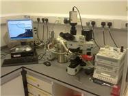 Effects of Speciation on the Physical Properties of Frozen Solutions
