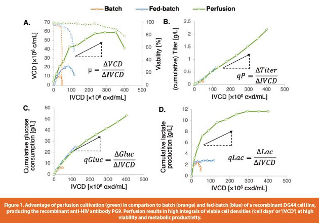 Perfusion Medium Development For Continuous Bioprocessing Of Animal Cell Cultures American Pharmaceutical Review The Review Of American Pharmaceutical Business Technology