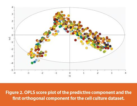OPLS score plot of the predictive component and the fi rst orthogonal component for the cell culture dataset.