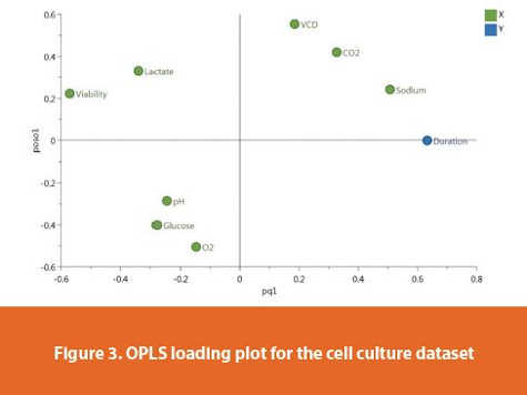 OPLS loading plot for the cell culture dataset
