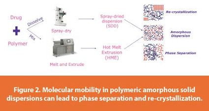 Molecular mobility in polymeric amorphous solid dispersions can lead to phase separation and re-crystallization.