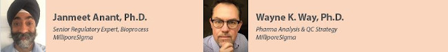 Single-use systems underline the rising significance of extractables and leachables studies