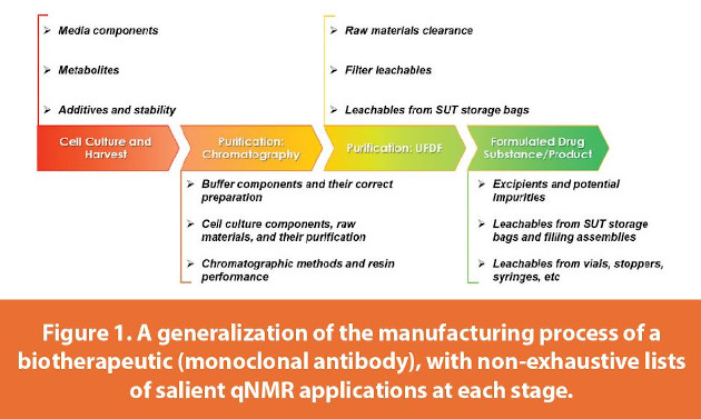 A generalization of the manufacturing process of a biotherapeutic (monoclonal antibody), with non-exhaustive lists of salient qNMR applications at each stage.