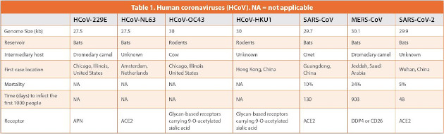 Human coronaviruses (HCoV)