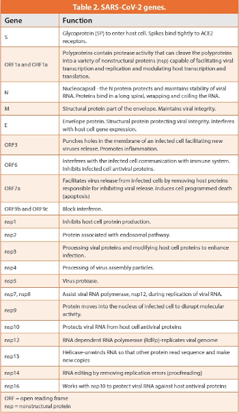 SARS-CoV-2 genes