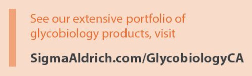Recent advances to help cope with the complexity of MS-based glycan analysis
