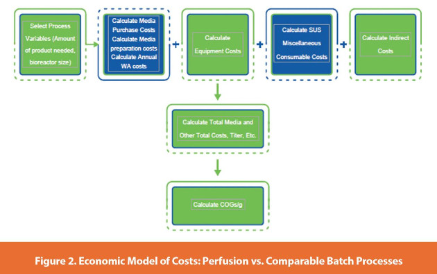 Economic Model of Costs: Perfusion vs. Comparable Batch Processes