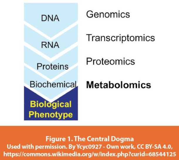 The Central Dogma