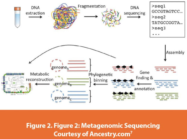 Metagenomic Sequencing Courtesy of Ancestry.com