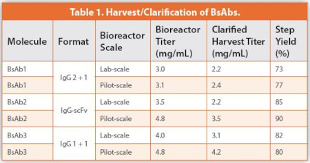 Harvest/Clarification of BsAbs
