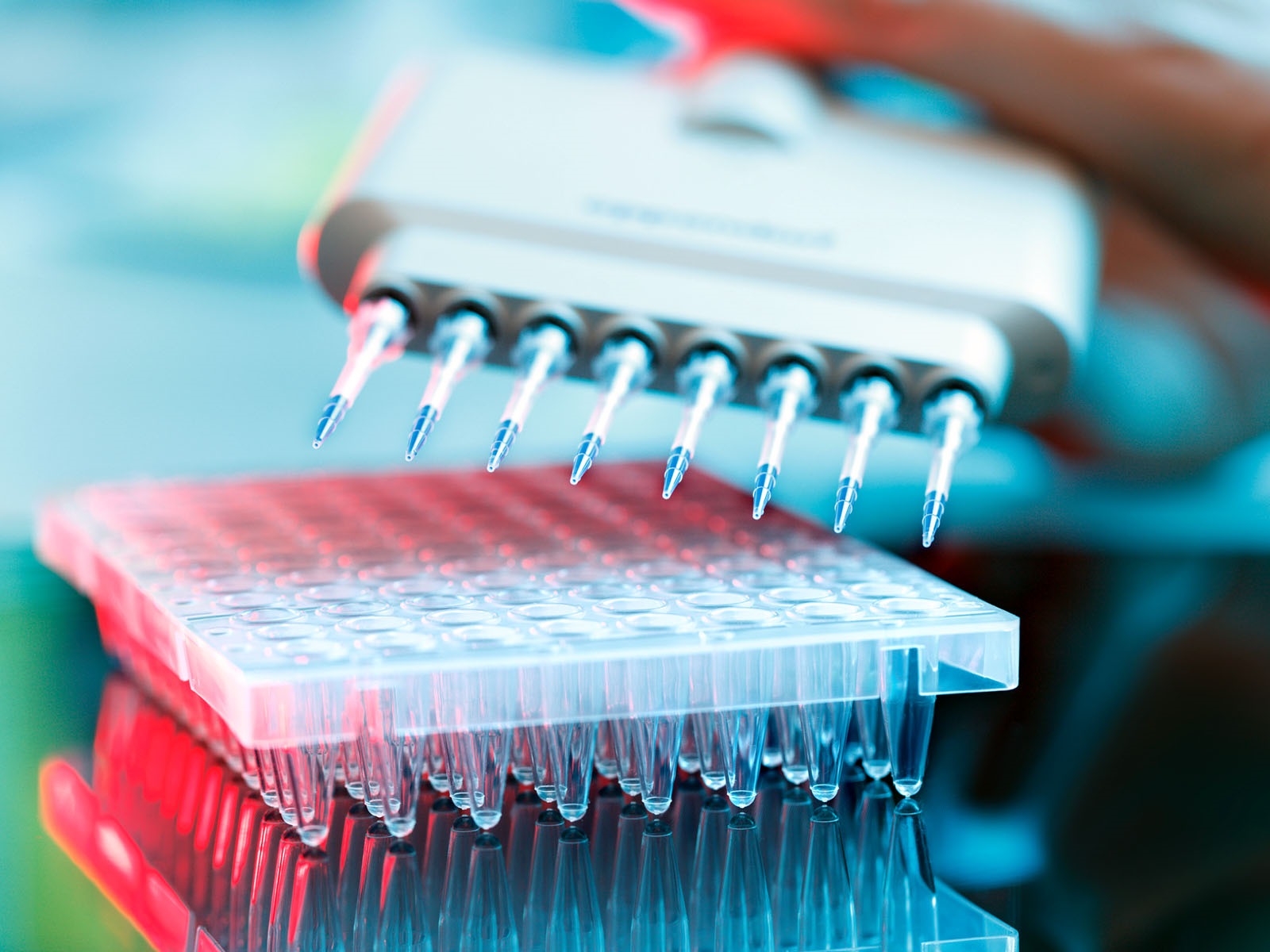 Top 5 Tips for Easier Bacterial Endotoxin Testing (BET) American