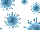 Vaccines and Therapeutics for COVID-19 – How Can Understanding SARS-CoV-2 Glycosylation Lead to Pharmaceutical Advances?