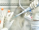 A Model for Aseptic Operations Governance (Structure, Competencies, Governance and Attitude)