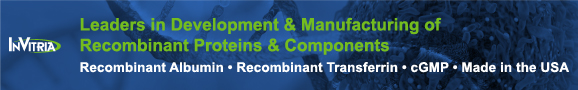 Leadboard Ad Pane