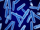 How to Bring Flexibility and Scalability to Sustainable Bacterial Endotoxin Testing (BET)