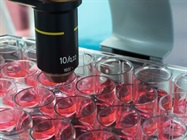Changing the Methods Used for Inactivation of Microorganisms and Viruses