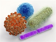 Endotoxin Testing - Why and How  the Industry Seeks Improvements