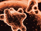 USP  Microbial Contamination Risk Factors Re-Visited