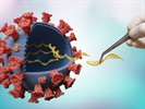 mRNA: A New Frontier in Vaccines and Medicine
