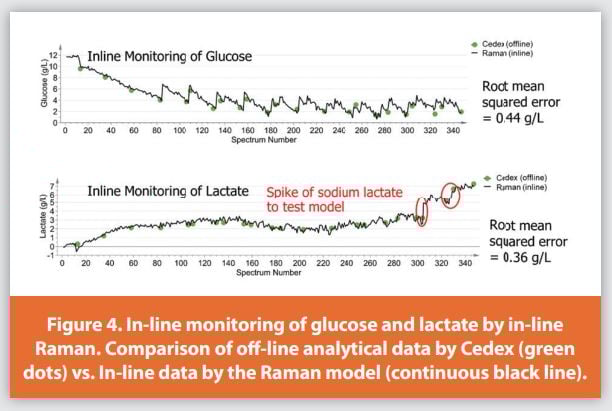 Figure 4. In-line monitoring of glucose and lactate by in-line Raman. Comparison of off -line analytical data by Cedex (green dots) vs. In-line data by the Raman model (continuous black line).