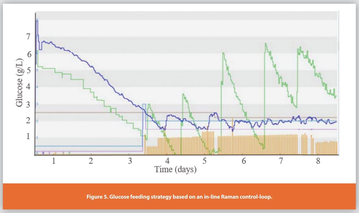 Figure 5. Glucose feeding strategy based on an in-line Raman control-loop.