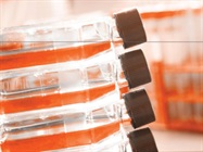 The Challenge of Manufacturing Adoptive Cell Therapies