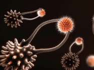 Building on Non-Gene Edited Approaches to Develop Allogeneic CAR Ts