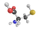 From Protein Powder to All Life on Earth: The Importance of Amino Acids