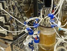 Recognizing the Potential Impact of Agitation  Directionality On Oxygen Mass Transfer Through a kL a  Evaluation Within the BIOne Single-Use Bioreactor