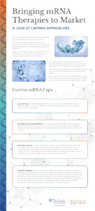 Bringing mRNA Therapies to Market