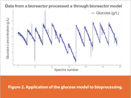 Figure 2. Application of the glucose model to bioprocessing.