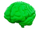 Brain Surfing