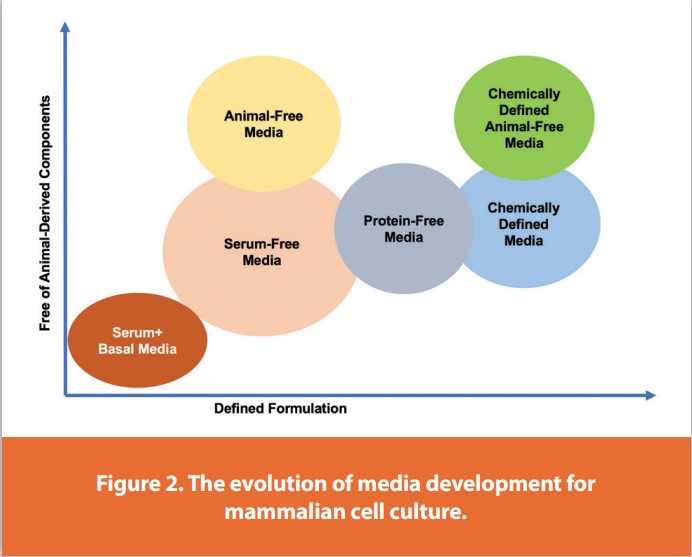 Figure 2. The evolution of media development for mammalian cell culture.