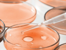 Microbiology Roundtable