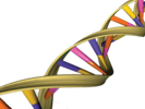 DNA: The Code to Life