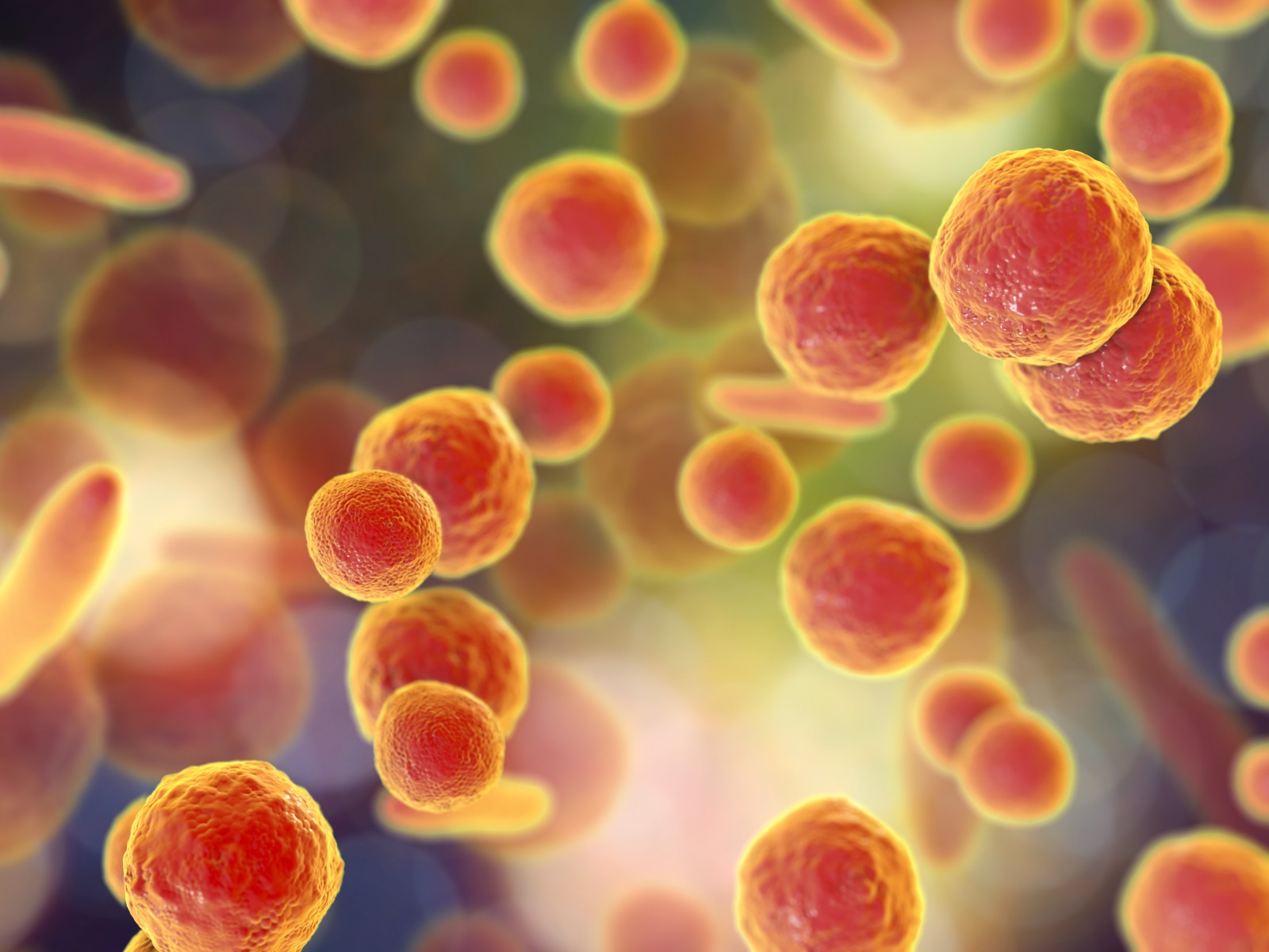 Critical Considerations in Validating Alternative Mycoplasma Detection ...