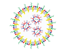 Lipid Nanoparticles – The Enablers for Nucleic Acids Delivery