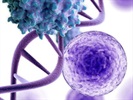[Article Title]