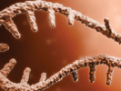 mRNA and Oligonucleotides Process and Manufacturing