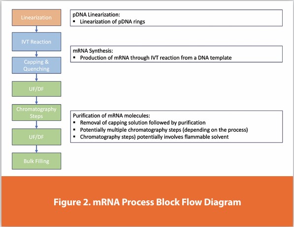 Chromatography mRNA and Oligonucleotides Process and Manufacturing ...