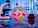 How Decades of Firm  Belief in Ever More Reliable Sterility Testing Serve as Inspiration