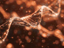 Tailored Treatment: Biomarkers and the Path to Precision Medicine Based on a ‘Fit-for Purpose’ Strategy